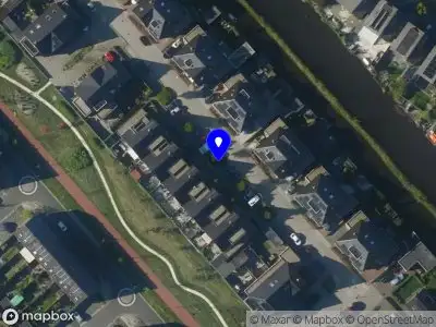 Overlastmelding Dwergmeeuw in Heerhugowaard
