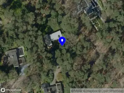 Brandweer met gepaste spoed naar de Berkenlaan in Bergeijk vanwege stormschade