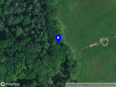 Brandweer met gepaste spoed naar de Markeloseweg in Laren vanwege stormschade