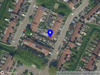 Overlastmelding Boterbloem in Uitgeest