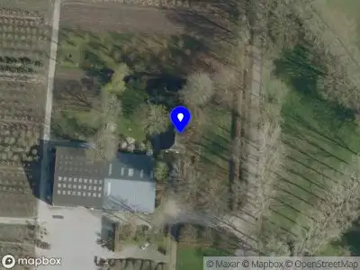 Overlastmelding Brem in Berkel-Enschot