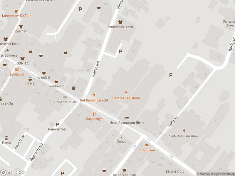 Brandweer met gepaste spoed naar de Veerstraat in Boxmeer