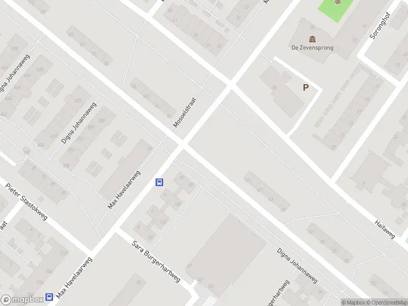Ambulance met grote spoed naar de Digna Johannaweg in Hoogvliet Rotterdam