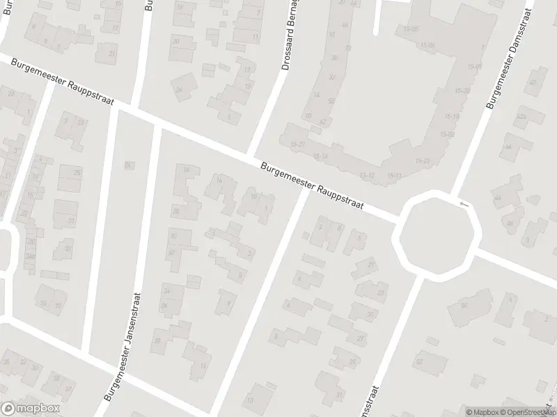 Overlastmelding Burgemeester Rauppstraat in Tilburg