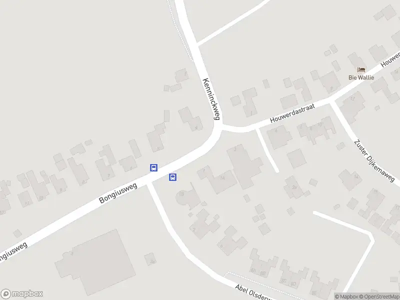 Brandweer met grote spoed naar de Bongiusweg in Termunten vanwege gebouwbrand