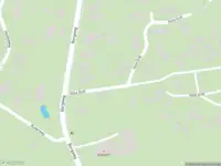 Brandweer met gepaste spoed naar de Borgweg in Schipborg