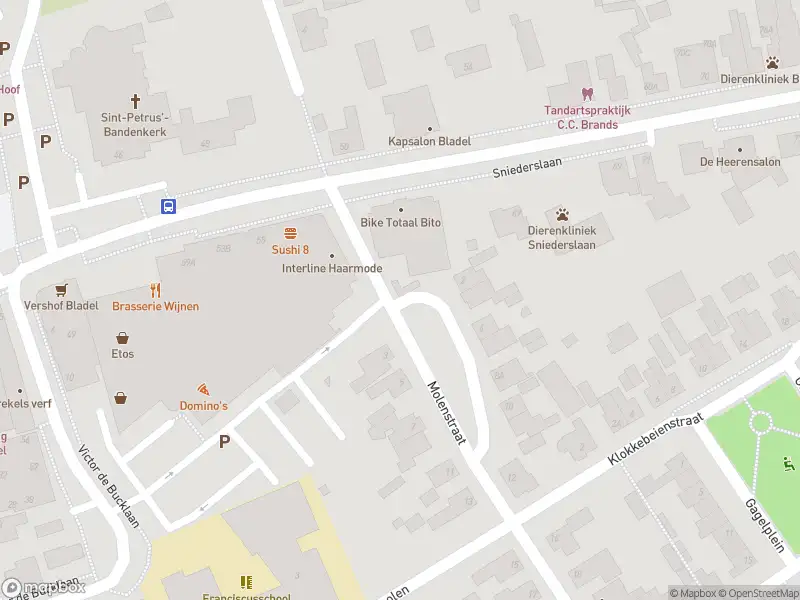 Brandweer met gepaste spoed naar de Rondweg in Bladel