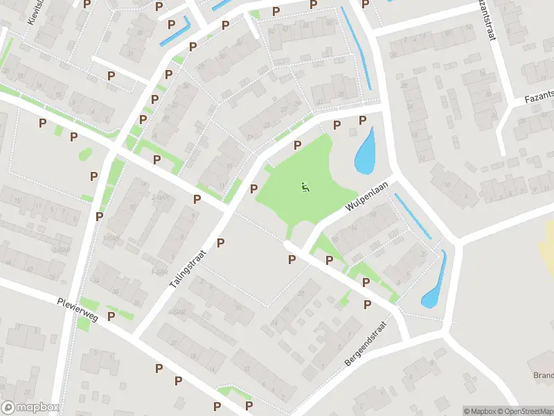 Ambulance met gepaste spoed naar de Talingstraat in Groet