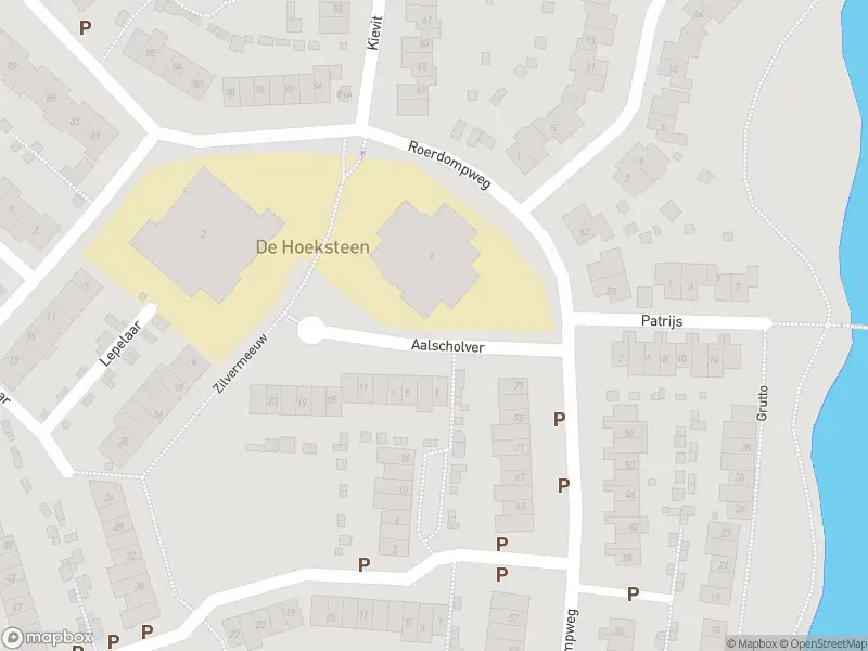 Overlastmelding Aalscholver in Oud-Beijerland