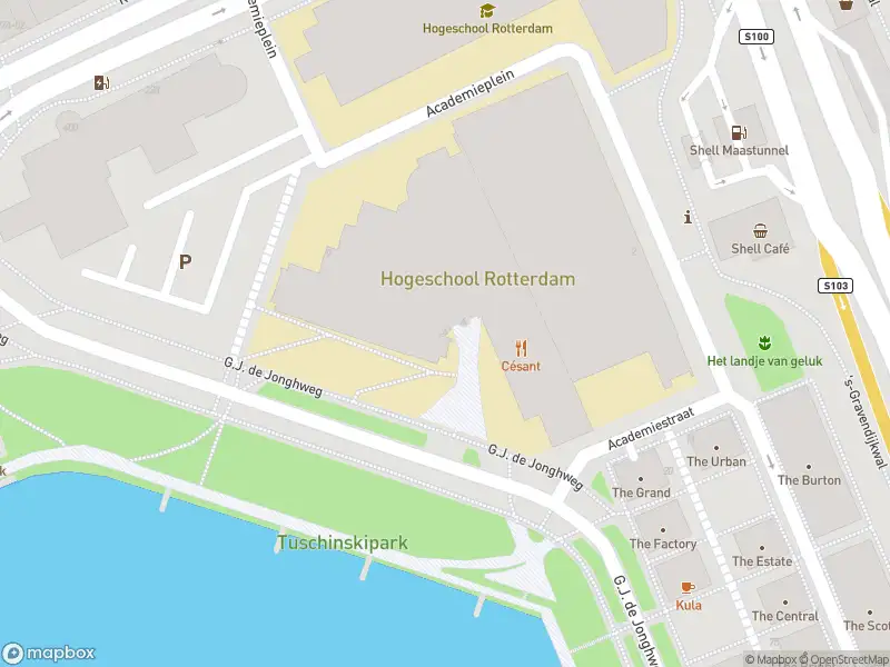 Ambulance met grote spoed naar de G.J. de Jonghweg in Rotterdam
