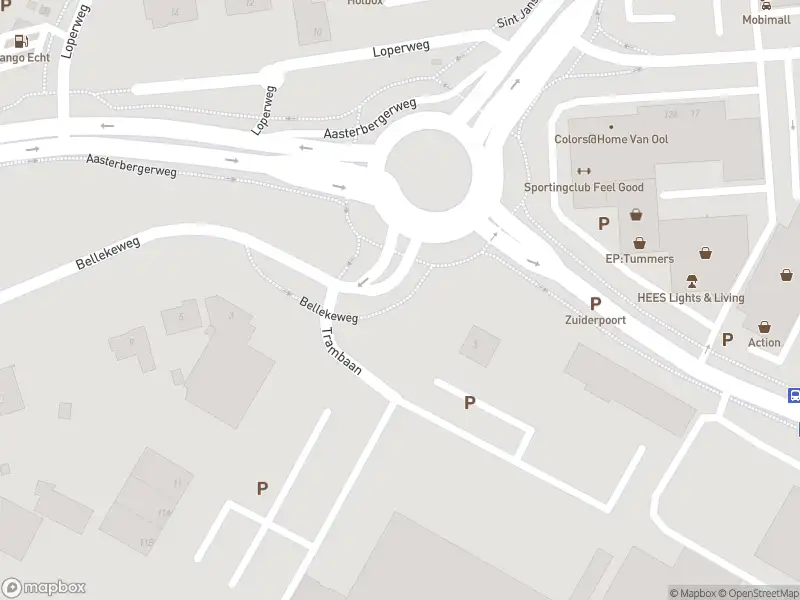 Overlastmelding Palmbrugweg in Echt