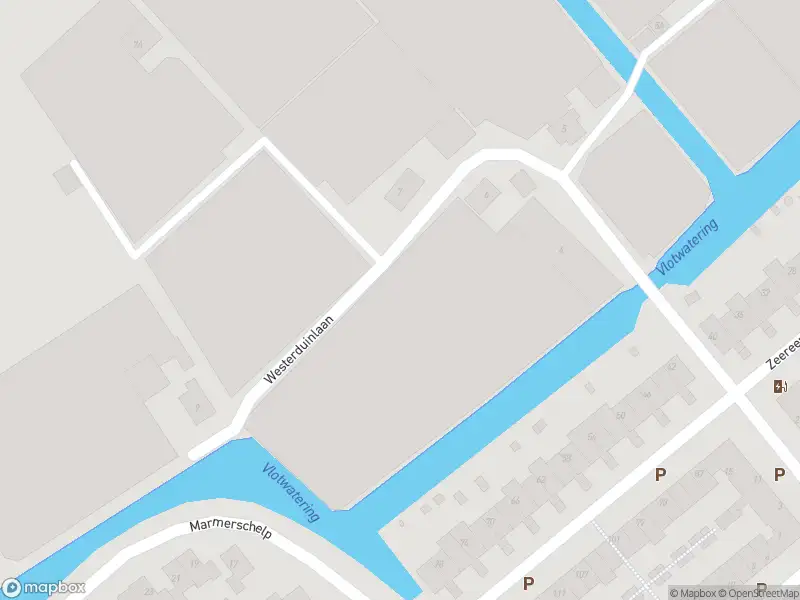 Brandweer met gepaste spoed naar de Slangekruid in Monster