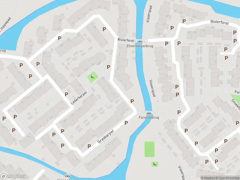 Ambulance met grote spoed naar de Zilverkarper in Leiden