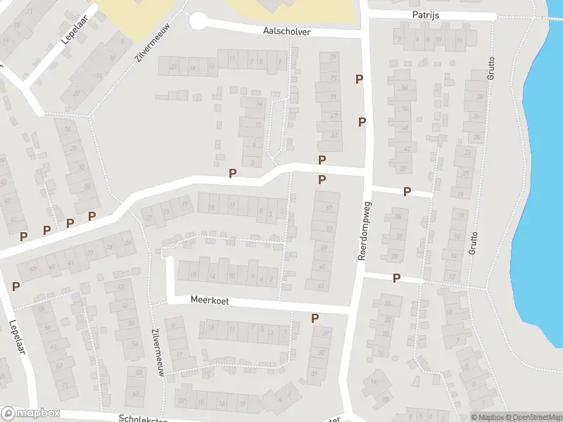 Overlastmelding Waterhoen in Oud-Beijerland
