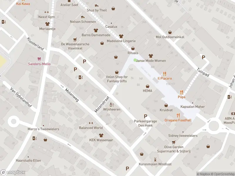 Ambulance met grote spoed naar de Molenstraat in Wassenaar