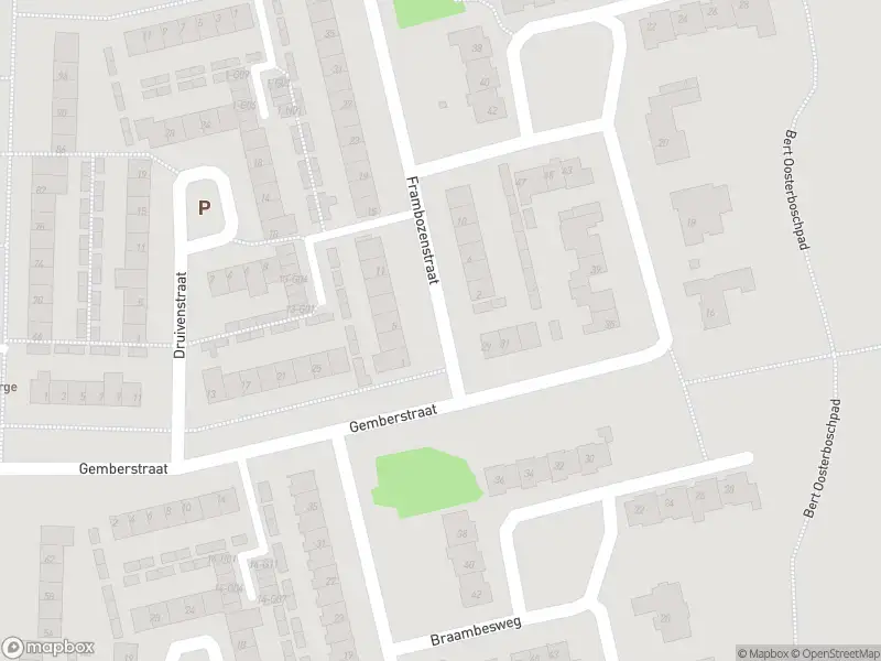 Brandweer met gepaste spoed naar de Frambozenstraat in Eindhoven