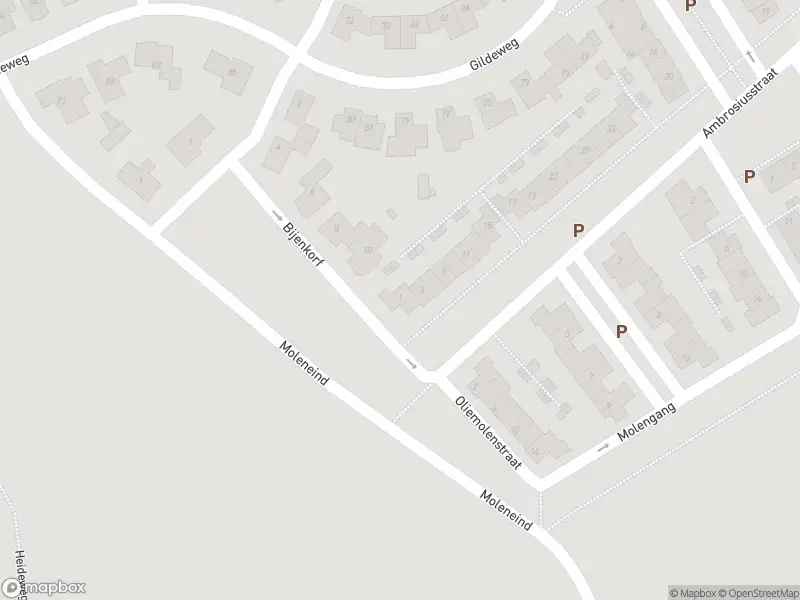 Overlastmelding Ambrosiusstraat in Loon op Zand