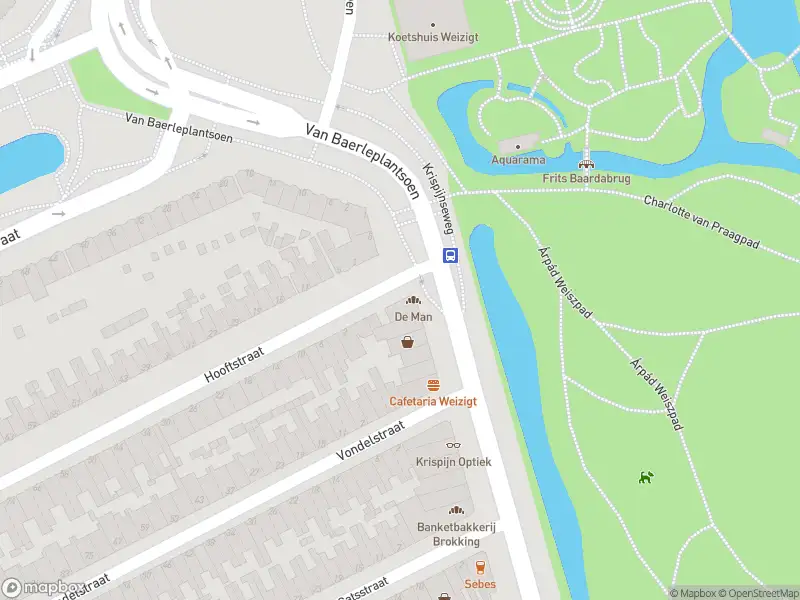 Overlastmelding Krispijnseweg in Dordrecht