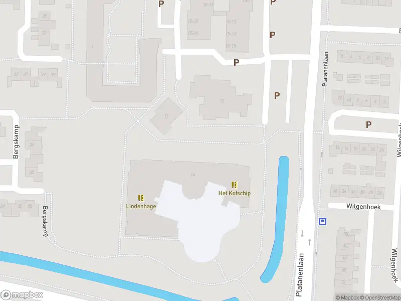 Overlastmelding Platanenlaan in Zevenaar