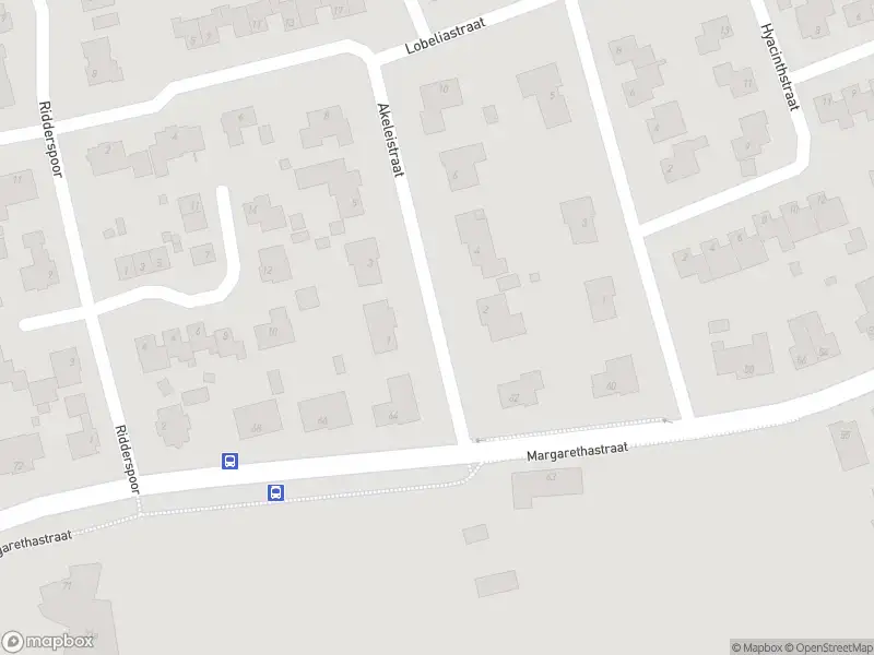 Brandweer met gepaste spoed naar de Akeleistraat in Ittervoort