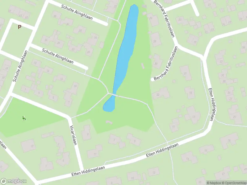 Brandweer met gepaste spoed naar de Borgerweg in Gasselte