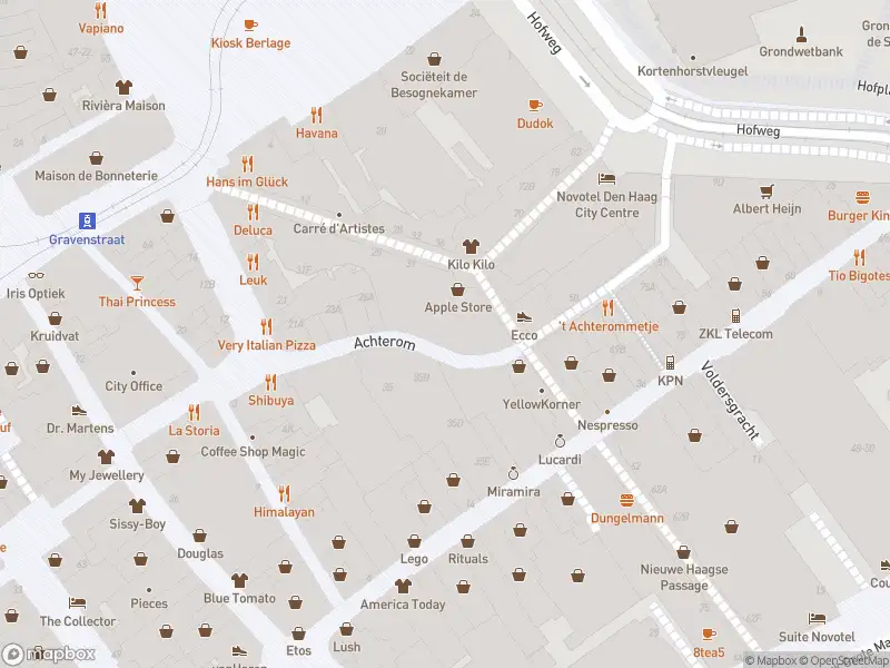 Ambulance met gepaste spoed naar de Hofweg in 's-Gravenhage