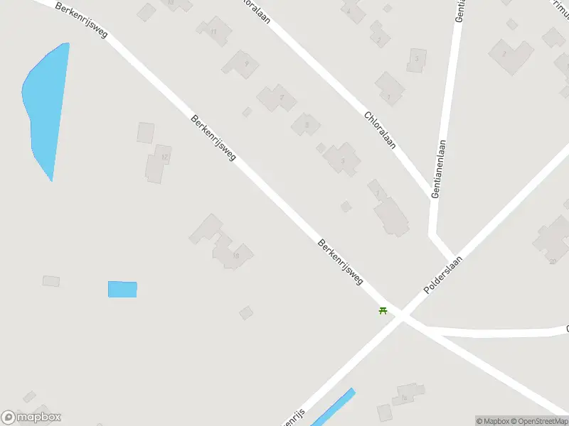 Ambulance met gepaste spoed naar de Berkenrijsweg in Oostvoorne