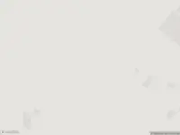 Traumahelikopter met grote spoed naar de Raalterweg in Wesepe