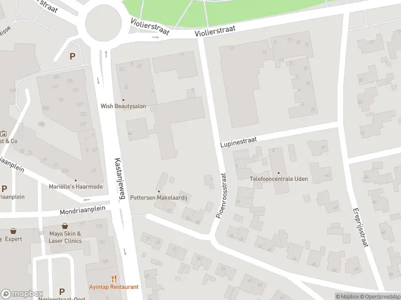 Brandweer met grote spoed naar de Pioenroosstraat in Uden vanwege gebouwbrand