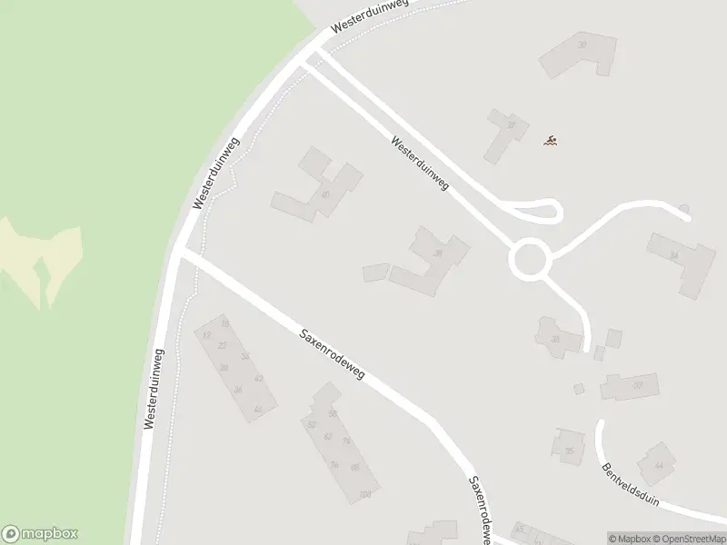 Ambulance met gepaste spoed naar de Saxenrodeweg in Bentveld