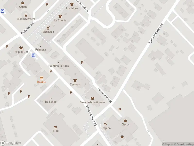 Overlastmelding Pasteurstraat in Dieren