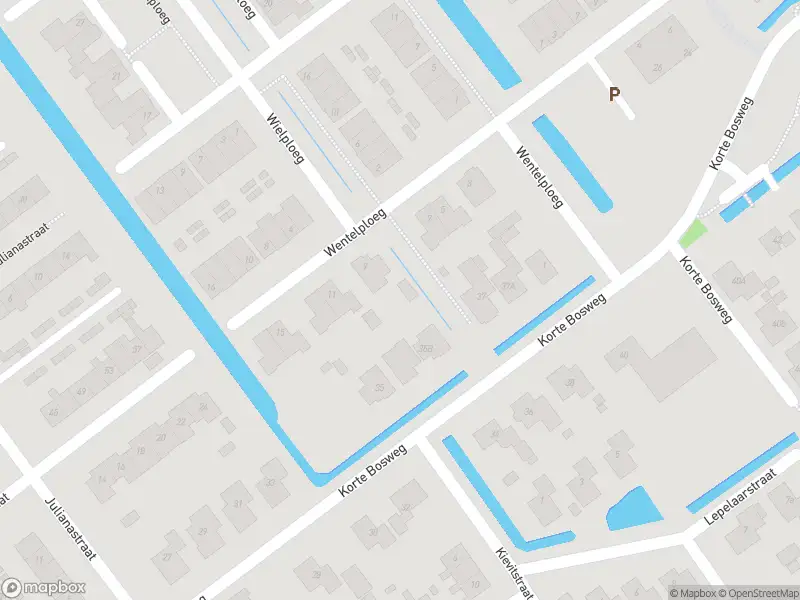 Overlastmelding Koning Willem II-weg in 't Zand