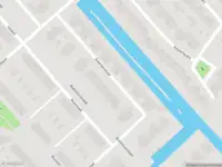 Overlastmelding Dwergmeeuw in Heerhugowaard gesloten