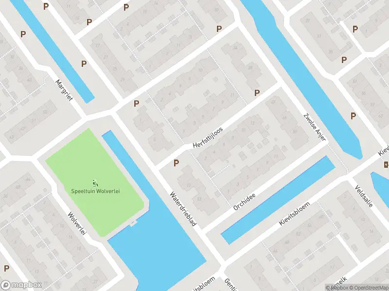 Ambulance met grote spoed naar de Herfsttijloos in Nootdorp