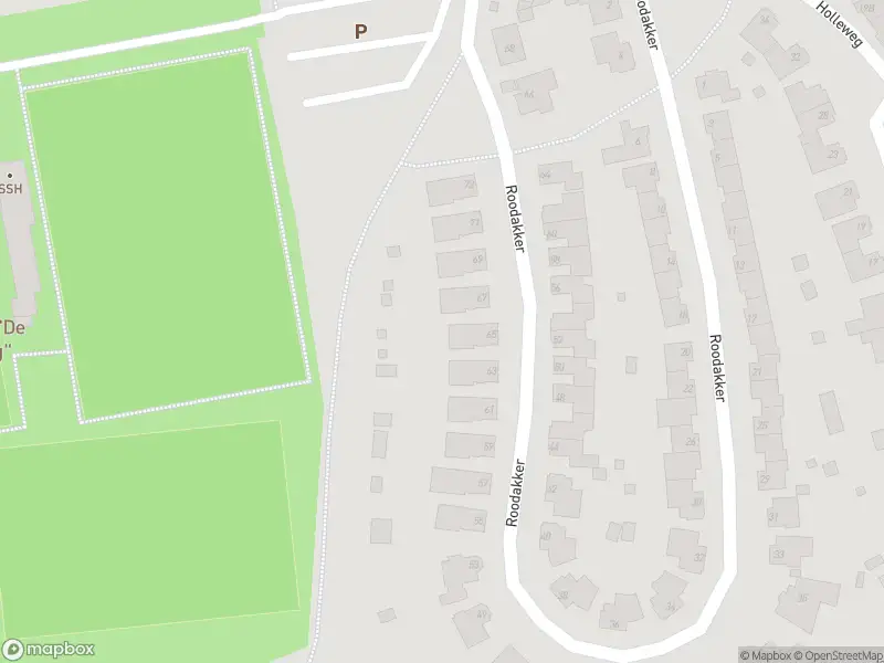 Brandweer en politie met grote spoed naar de Bergstraat in Herten vanwege waarnemen gaslucht