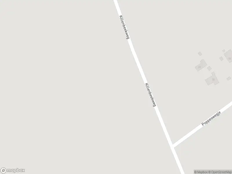 Brandweer met gepaste spoed naar de Killenbeekweg in Hulshorst