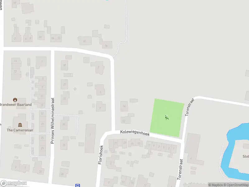 Brandweer met grote spoed naar de Prinses Wilhelminastraat in Baarland vanwege afhijsen patient