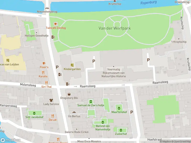 Ambulance met gepaste spoed naar de Hoefstraat in Leiden