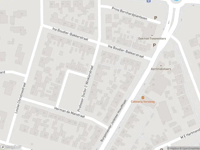 Brandweer met grote spoed naar de Giessenborch in Vianen vanwege reanimatie