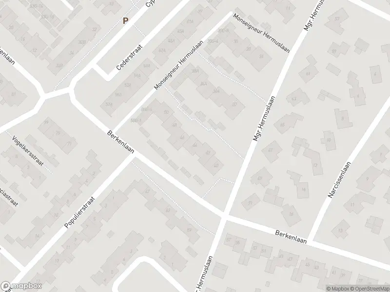 Overlastmelding Monseigneur Hermuslaan in Sint-Michielsgestel