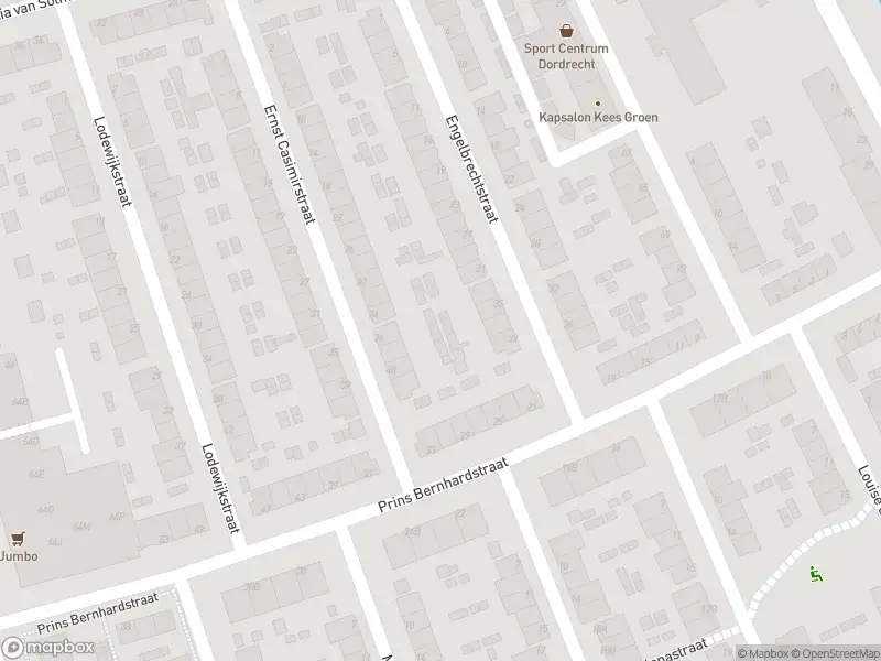 Overlastmelding Prins Bernhardstraat in 3314PP Dordrecht