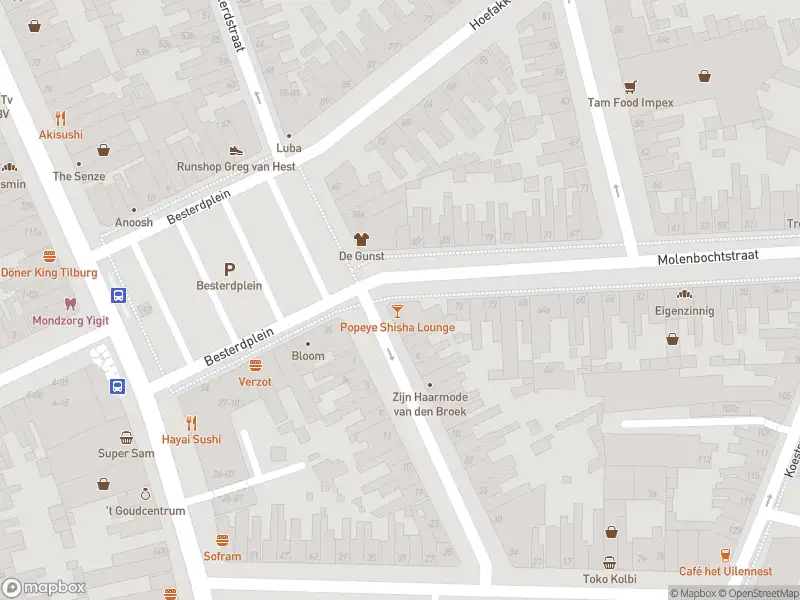 Overlastmelding Leonard van Vechelstraat in 5014JZ Tilburg