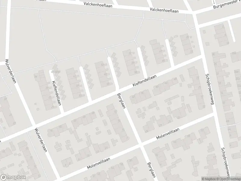 Overlastmelding Kieftendellaan in Santpoort-Noord