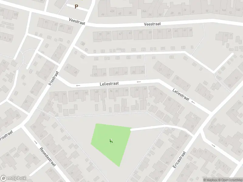 Overlastmelding Leliestraat in Sittard