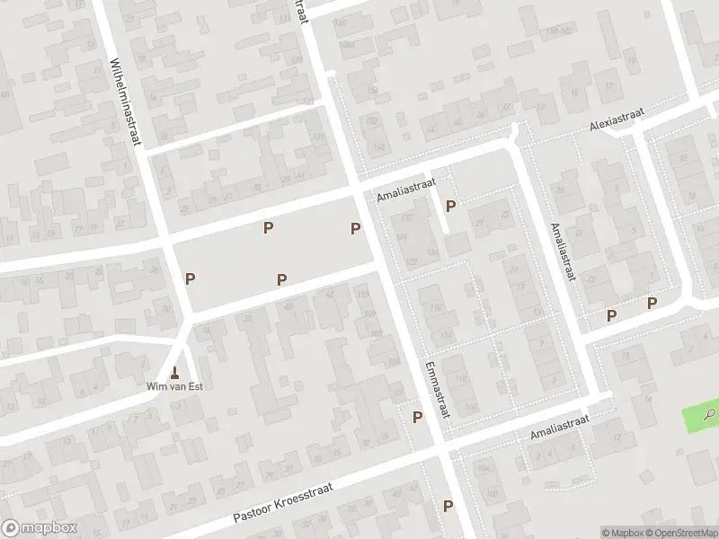 Overlastmelding Emmastraat in St. Willebrord