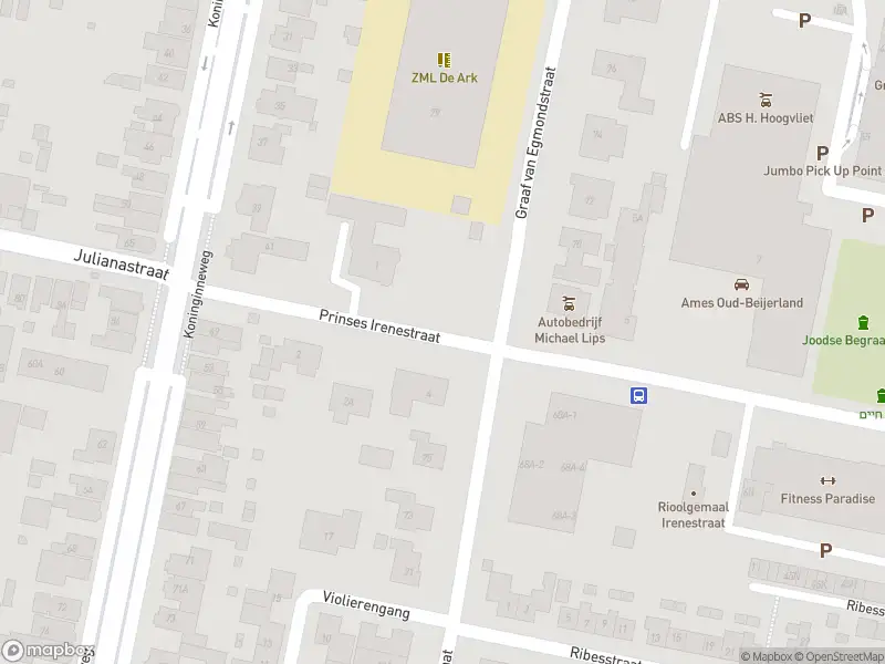 Overlastmelding Prinses Irenestraat in Oud-Beijerland