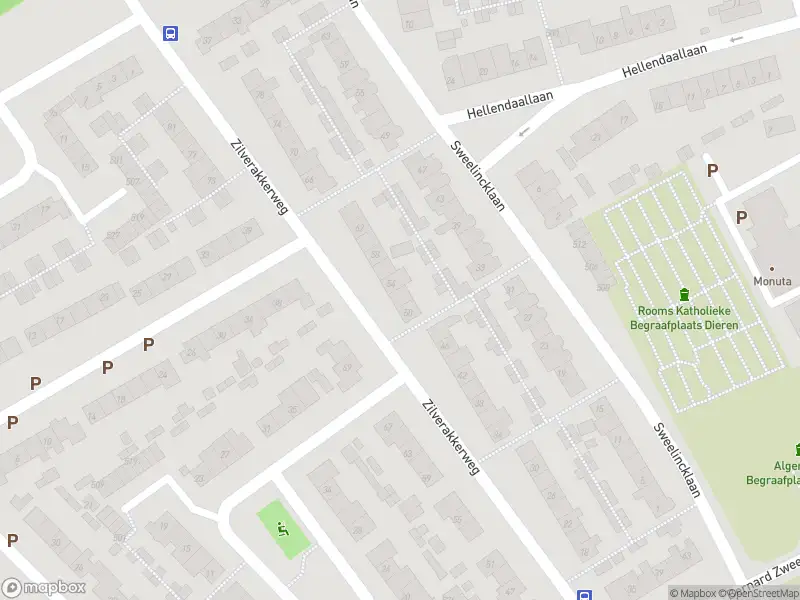 Overlastmelding Zilverakkerweg in Dieren