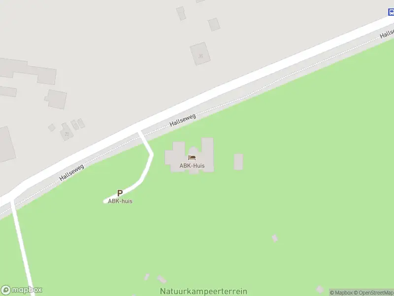 Overlastmelding Rhienderensestraat & Hallsepad in Hall