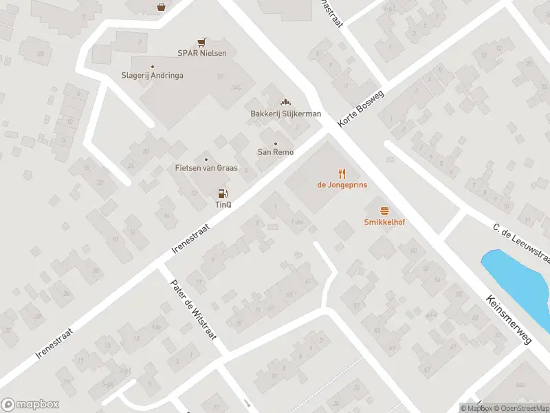 Overlastmelding Irenestraat in 't Zand gesloten