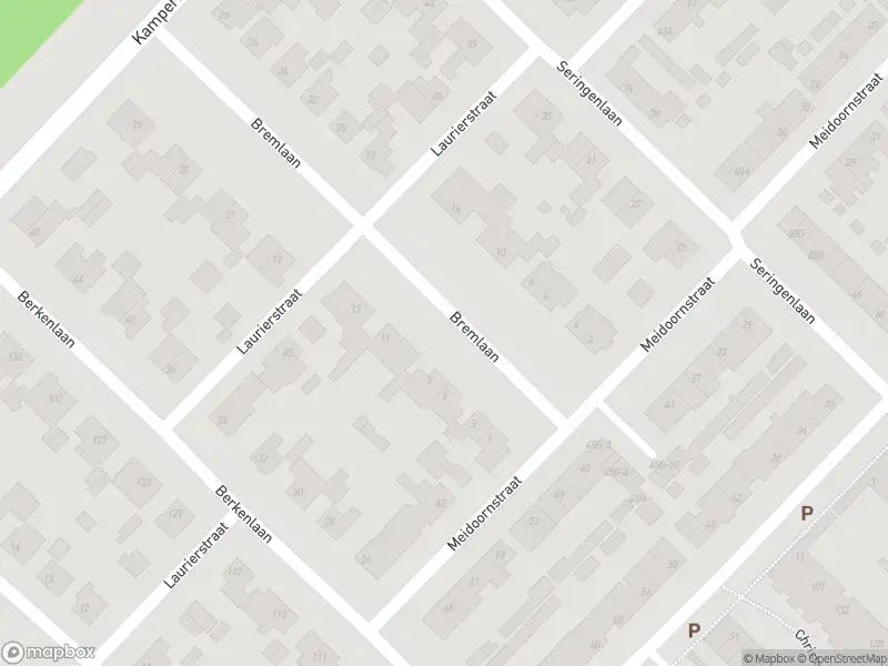 Overlastmelding Zegenwerp in Sint-Michielsgestel